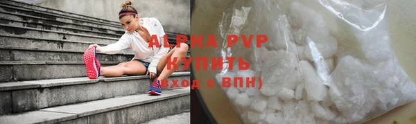 прущие крисы Верея