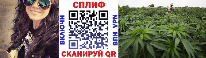 Купить  Лесной  Конопля LSD WEED 